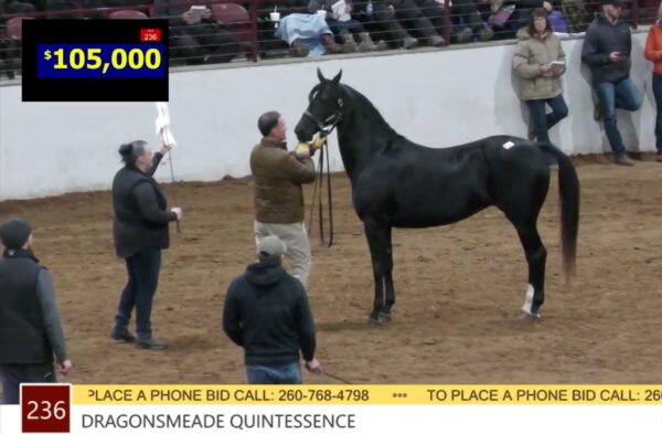 Dragonsmeade Quintessence