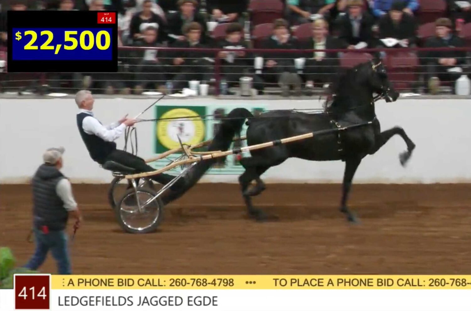 Ledgefields Jagged Edge