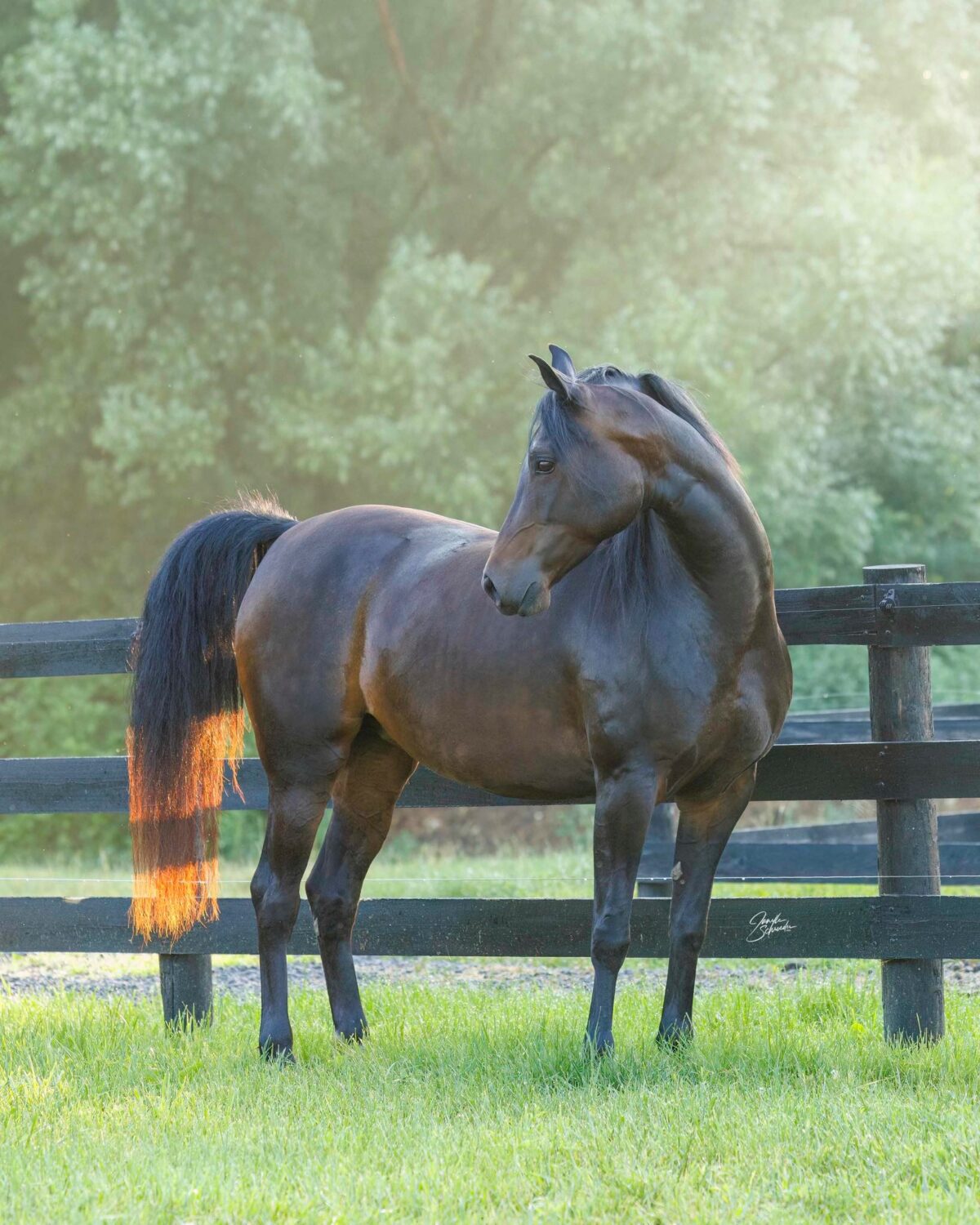 Clayhill Don't U Think