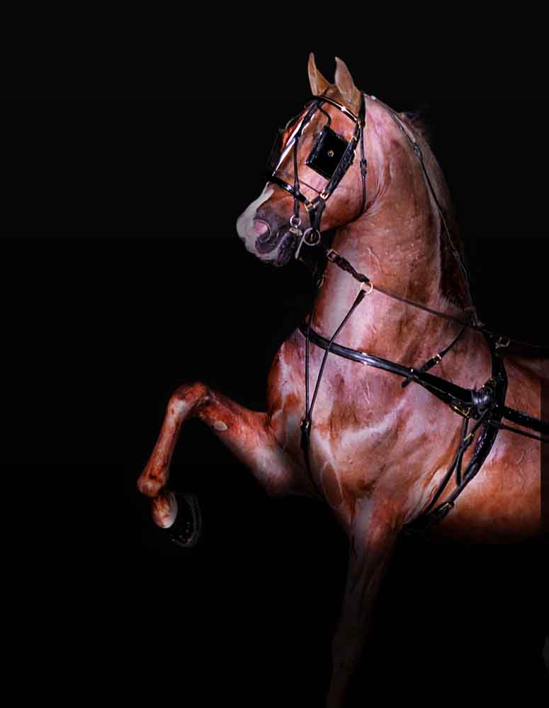 minion millennium, morgan stallion