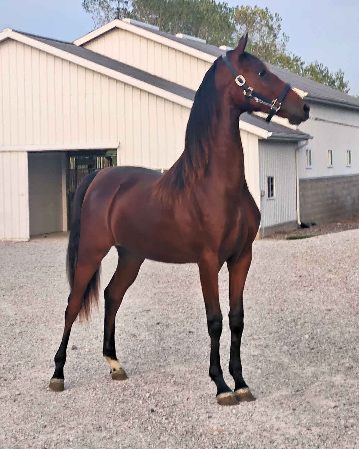 Lot 177 - Back In Time