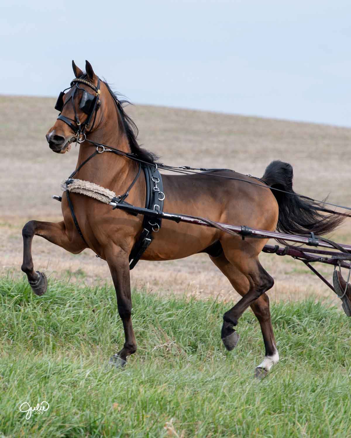 Lot 164 - Spiced Bourbon DRMF