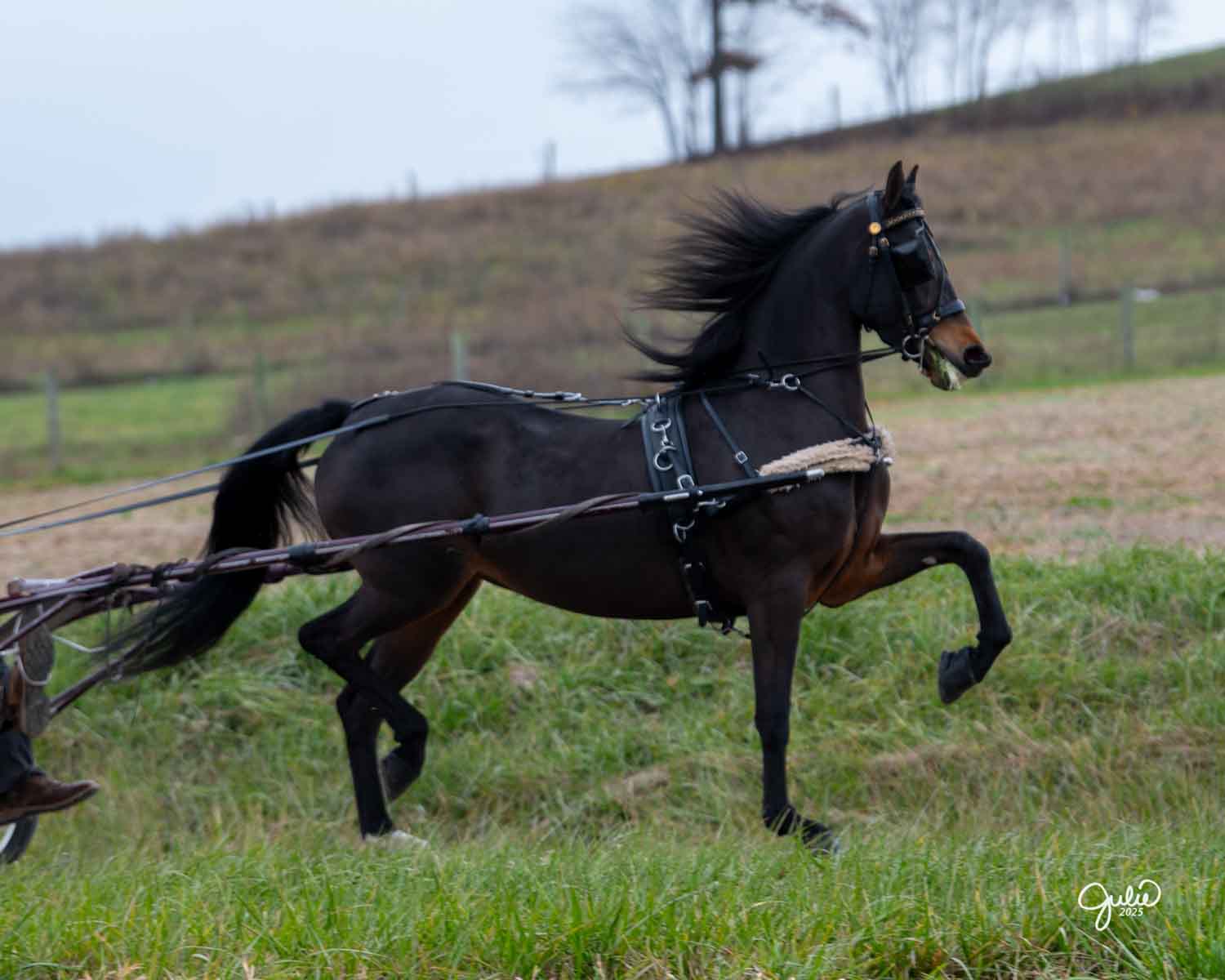 Lot 193 - JER Spiced For Life