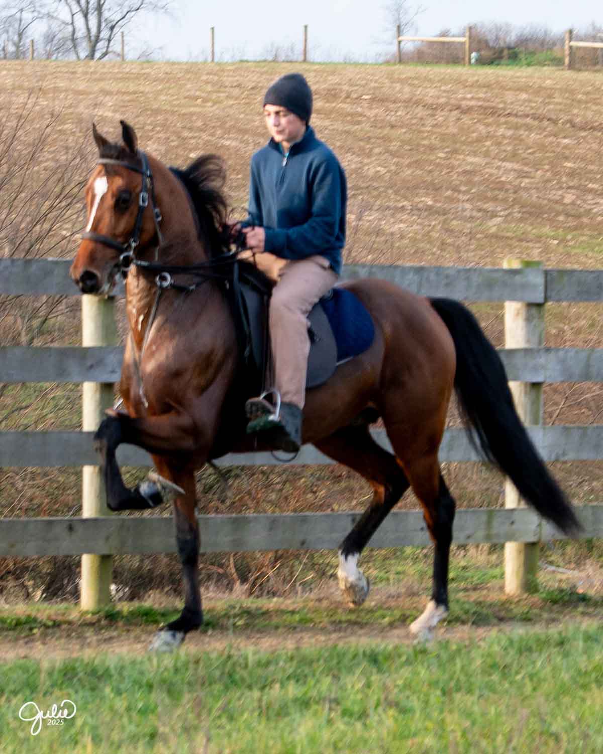 lot 75 - sdmf american flaire