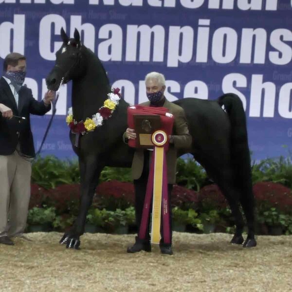 TMW Get Noticed, out of DNL Calamity Jane